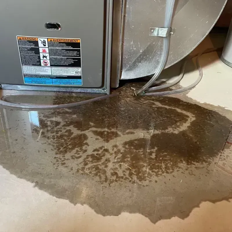 Appliance Leak Cleanup in Cahokia, IL